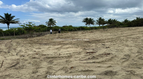 photos for SABANETA DE YASICA: THE LAST LOT WITH DIRECT BEACH LOCATION ON THE NATURAL LA BOKA BEACH